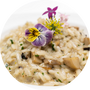 Risotti