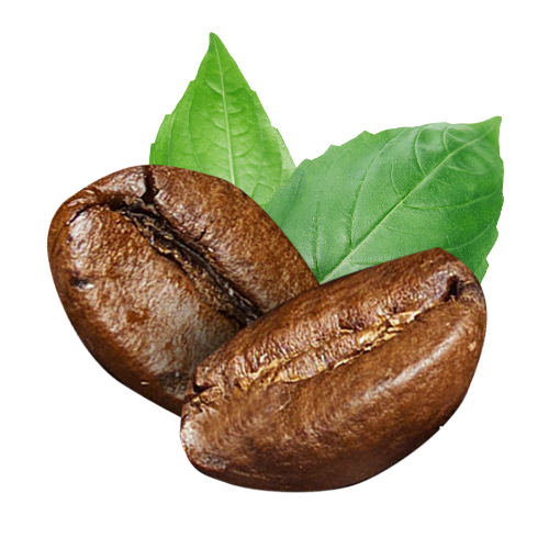 caffe logo
